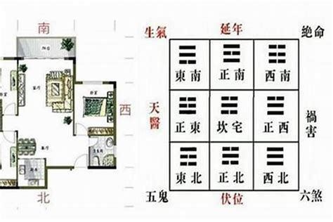 青龙位要放什么|风水论青龙：如何在家布置青龙位？风水大师教你布置青龙位的五。